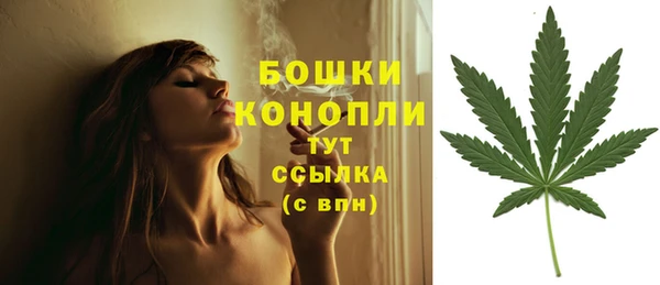 винт Лиски
