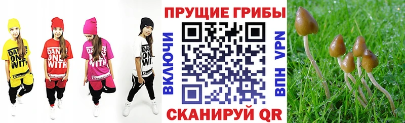 Псилоцибиновые грибы ЛСД  купить закладку  мега зеркало  Лесозаводск 